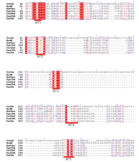 multiple sequence alignment by clustalw